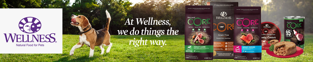Wellness for Pets: Nourishing Health and Happiness