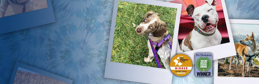 2 Hounds Design Stylish No-Pull Harnesses and Collars