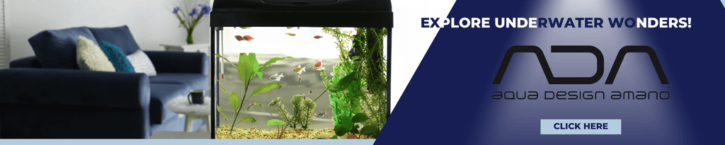 ADA Premium Aquarium Supplies for Aquascaping