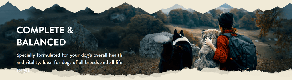Addiction Pet Food: Pure Nutrition for Your Pets