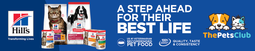 All Dog Food