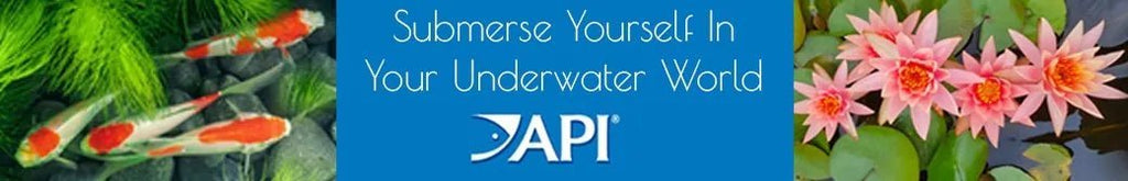 API