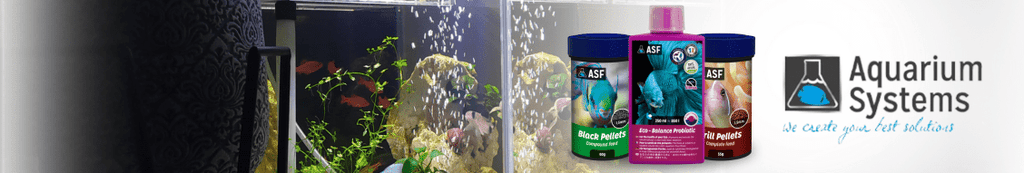 Aquarium Systems for Healthy Marine Environments