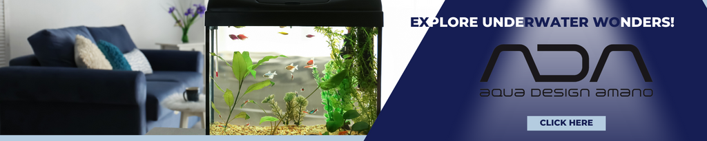 ADA Premium Aquarium Supplies for Aquascaping