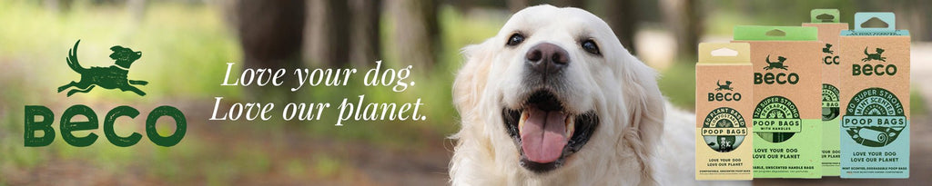 Beco Pets: Eco-Friendly Products for Cats and Dogs