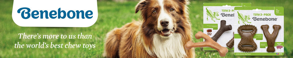 Benebone: Durable and Flavorful Dog Chews Collection