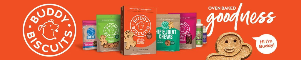 Buddy Biscuits: Healthy Treats for Your Beloved Pets