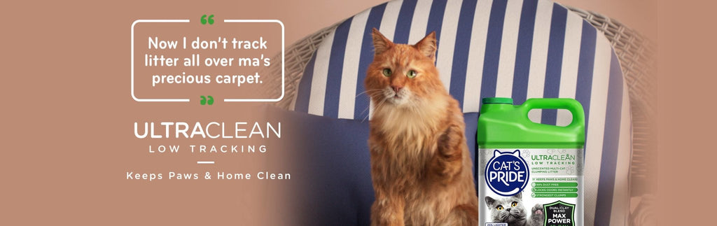 Cat's Pride: Premium Cat Litter for Happy Cats