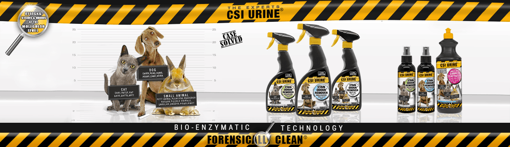 CSI Urine: Advanced Stain Removal for Your Home