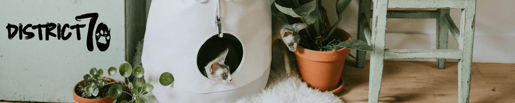 District 70: Cozy Beds for Cats and Dogs to Snuggle