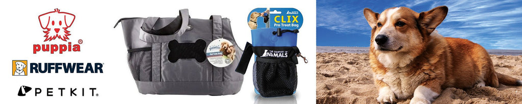 Dog Adventure Travel Accessories for Happy Journeys