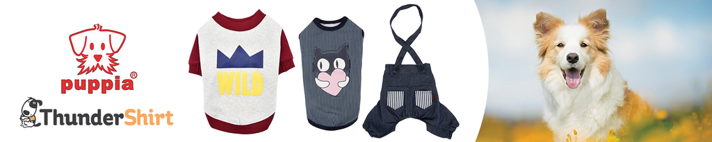 Stylish Dog Clothing for Every Occasion and Season