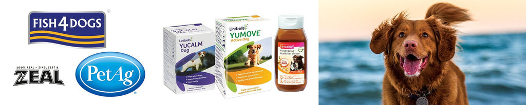 Dog Supplements for Optimal Canine Health and Wellness