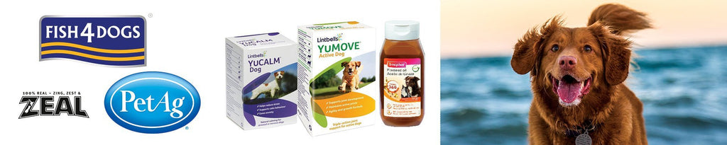Dog Supplements for Optimal Canine Health and Wellness