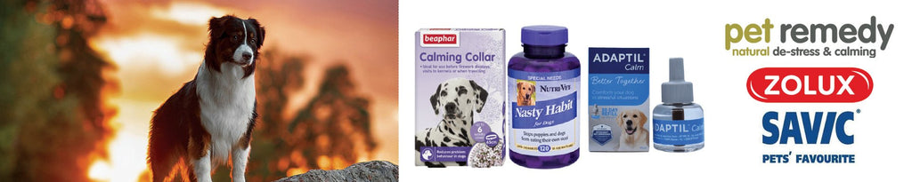 Dog Training & Behavior Supplies for Happy Pups