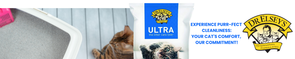 Dr. Elsey's Innovative Cat Litter Solutions for Cats