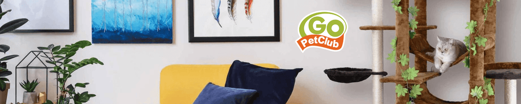 Go Pet Club: Innovative Products for Happy Pets