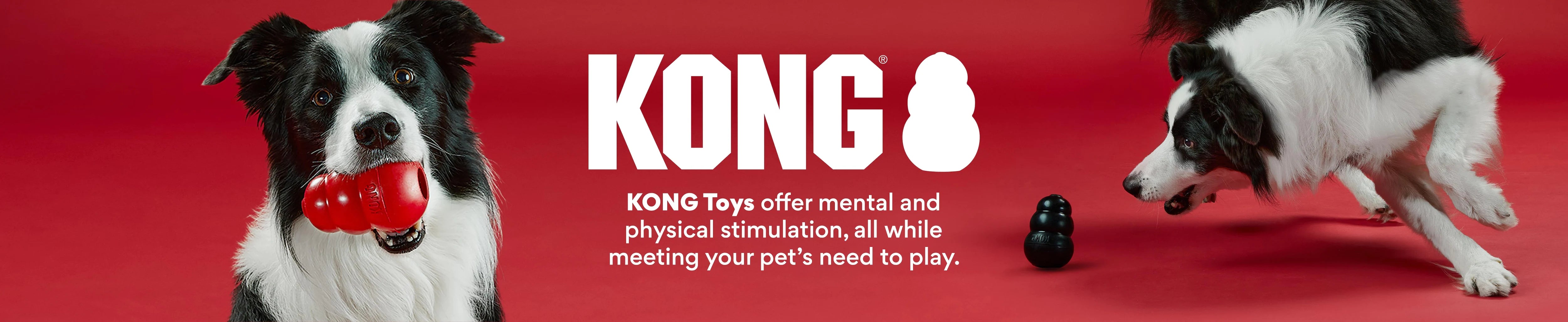 KONG - The Pets Club