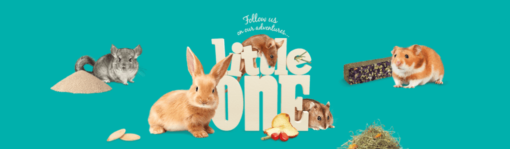 Little One Quality Products for Beloved Pets