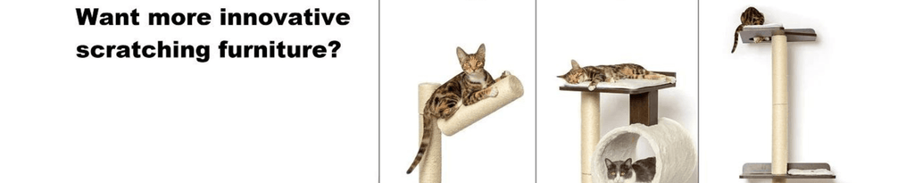 PetFusion Stylish and Functional Pet Products Collection
