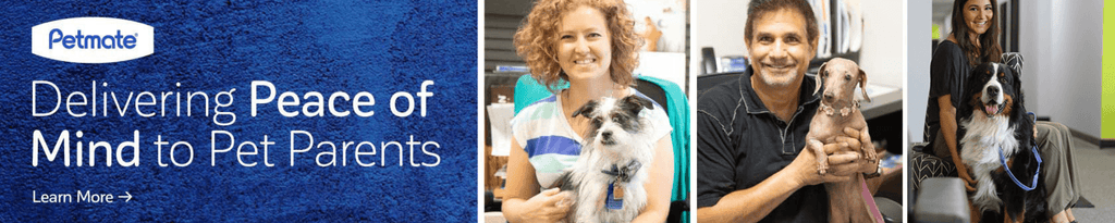 Petmate Eco-Friendly Pet Carriers and Kennels Collection