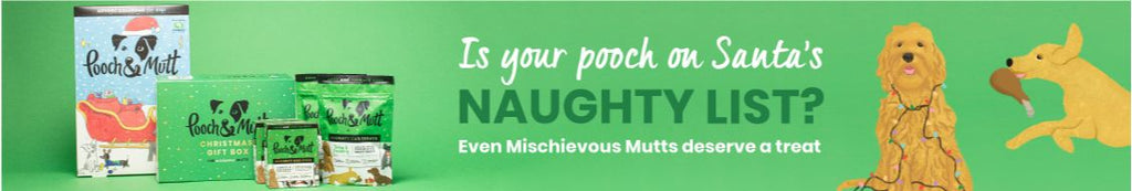 Pooch & Mutt: Grain-Free Dog Food and Treats Collection