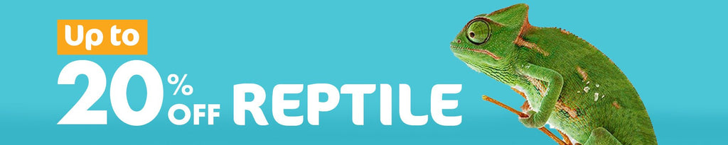 Reptile Sale: Amazing Deals on Products and Accessories