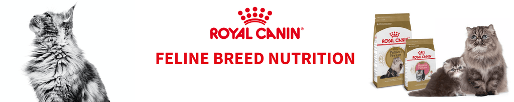 Royal Canin Feline Breed Nutrition