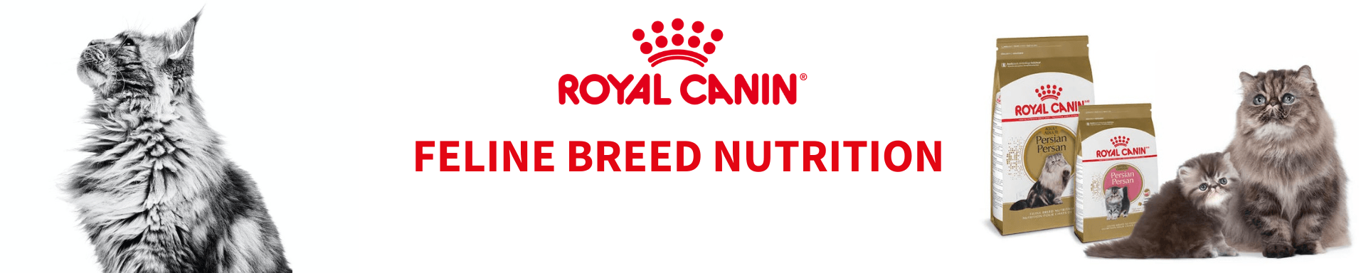Royal Canin Feline Breed Nutrition - The Pets Club