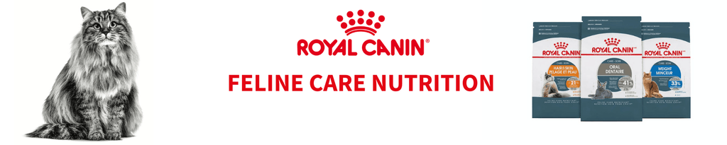 Royal Canin Feline Care Nutrition for Healthy Cats