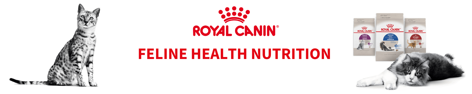 Royal Canin Feline Health Nutrition - The Pets Club