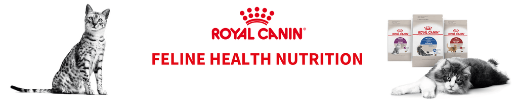 Royal Canin Feline Health Nutrition for All Life Stages