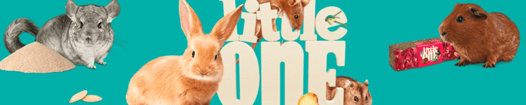 Small Animal Treats for Happy Pets and Healthy Lives