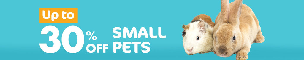 Small Pet Sale: Discounts on Pet Products and Accessories