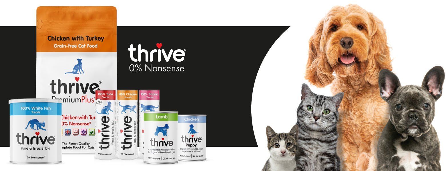 THRIVE | ThePetsClub