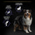Purina Pro Plan All Size Adult Dog Performance Chicken - 18kg