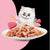 Moochie Wet Cat Food Tuna With Salmon And Jelly -12x70g