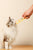 M-PETS Creamy Treats for Cats – Chicken- 4x15g (60g)
