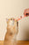M-PETS Creamy Treats for Cats – Salmon 4x15g (60g)