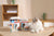 M-PETS Creamy Treats for Cats Multipack 40 + 8 Gratis (Crab x12, Salmon x12, Cod & Beef x12, Tuna & Shrimp x12) – 48x15g (720g)