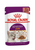 Royal Canin Feline Health Nutrition Sensory Taste Gravy (WET FOOD - POUCHES) -12x85g