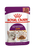 Royal Canin Feline Health Nutrition Sensory Taste Gravy (WET FOOD - POUCHES) -12x85g