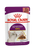 Royal Canin Feline Health Nutrition Sensory Smell Gravy (WET FOOD - POUCHES)  -12x85g