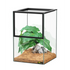 TERRATLANTIS Kit Insect Black, 20x20x30 cm
