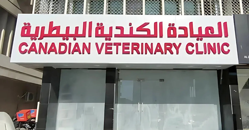 Veterinary Image