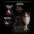 Purina Pro Plan Medium & Large Adult 7+ Sensitive Skin Dog Salmon With Optiderma Dry Dog Food