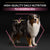 Purina Pro Plan Medium & Large Adult 7+ Sensitive Skin Dog Salmon With Optiderma Dry Dog Food