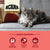 Acana Highest Protein Indoor Dry Cat Food