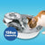 Pioneer Pet Big Max Pet Drinking Fountain  Stainless Steel -128oz