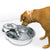 Pioneer Pet Big Max Pet Drinking Fountain  Stainless Steel -128oz